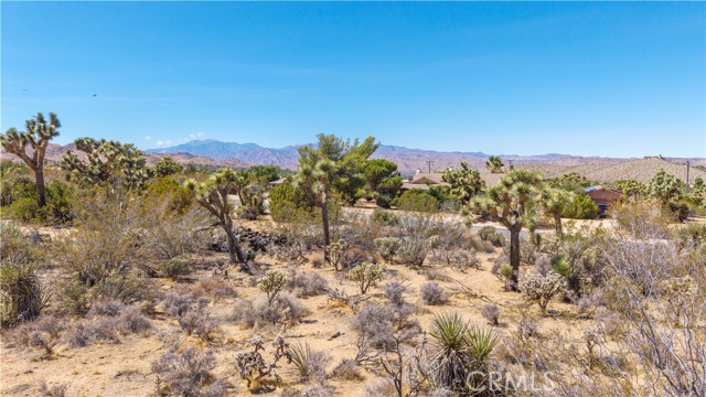 MLS #JT25216098 image #9