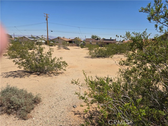 MLS #JT25216380 image #1