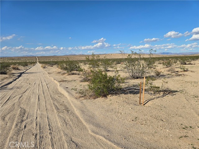 MLS #JT25217159 image #1