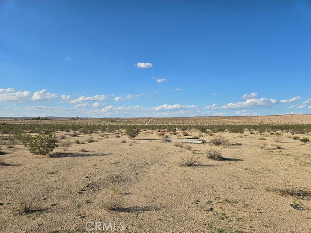 MLS #JT25217159 image #3