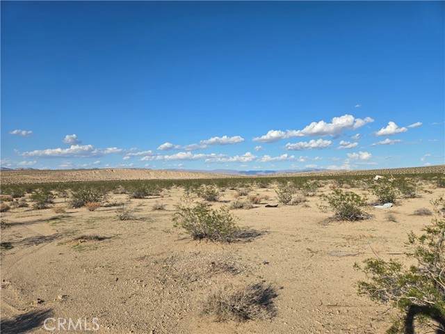 MLS #JT25217159 image #4