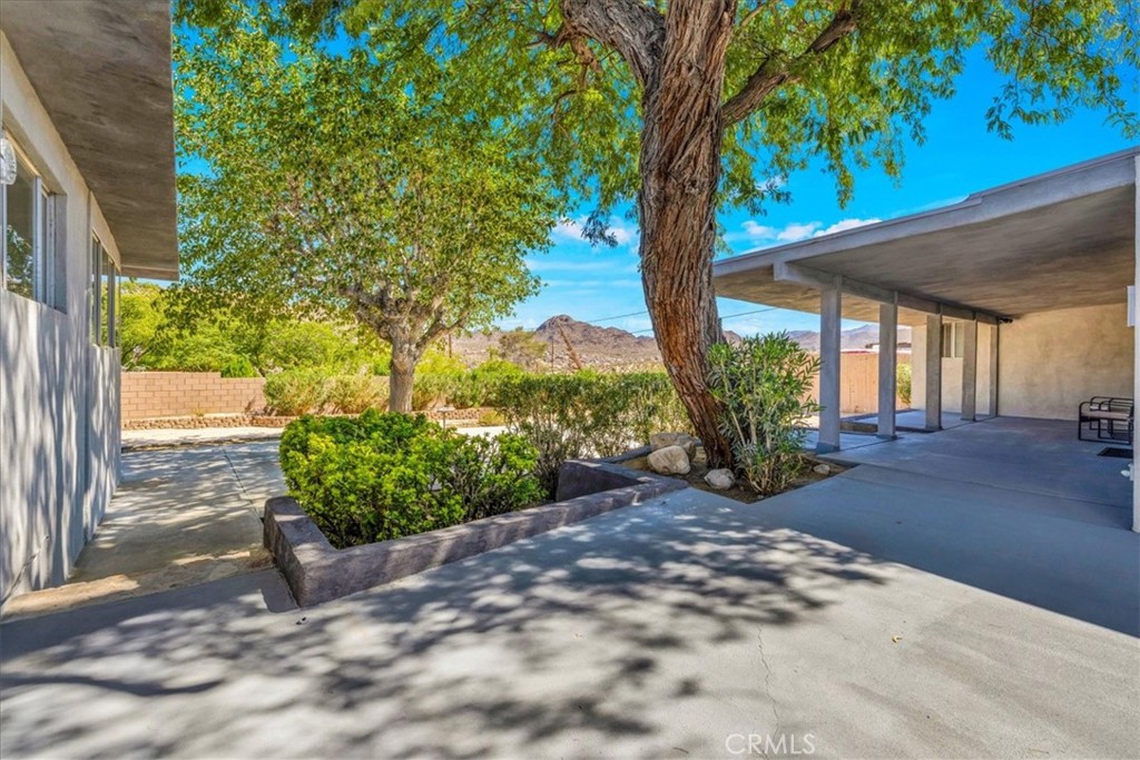 MLS #JT25220527 image #22