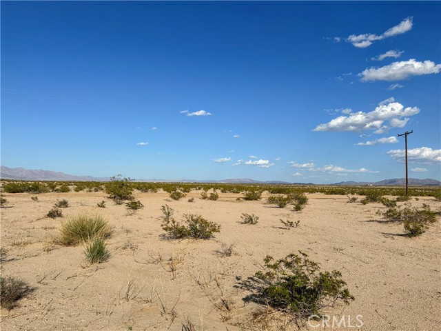 MLS #JT25220792 image #5