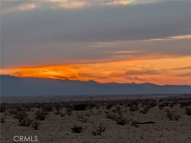 MLS #JT25221669 image #6