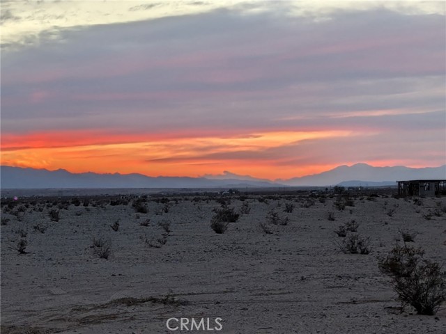 MLS #JT25221669 image #7