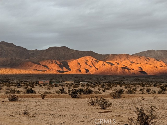 MLS #JT25221669 image #8
