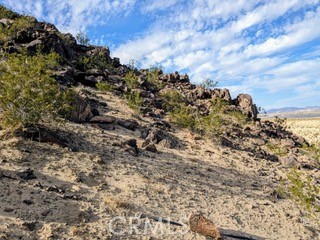 MLS #JT25222422 image #1