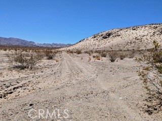 MLS #JT25222422 image #4