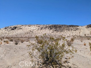 MLS #JT25222422 image #5