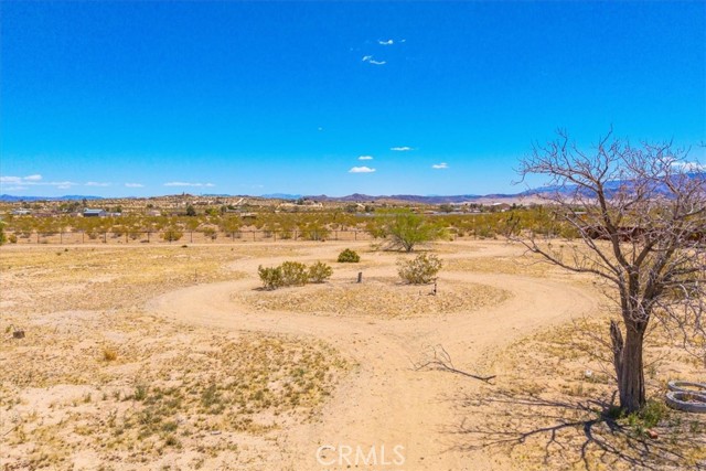 MLS #JT25223451 image #50