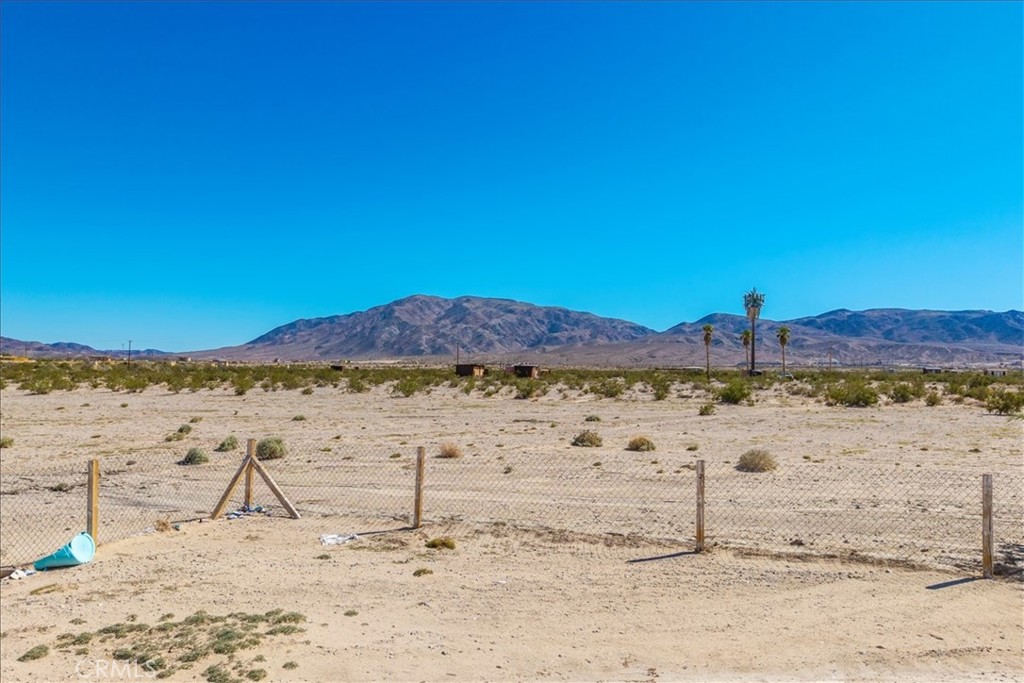 MLS #JT25224558 image #32