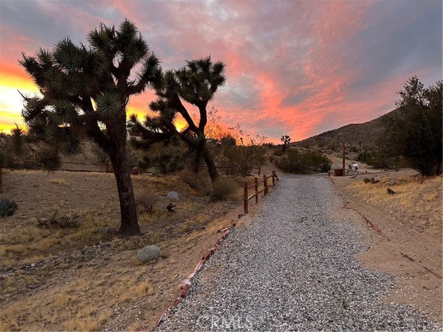 MLS #JT25225167 image #2