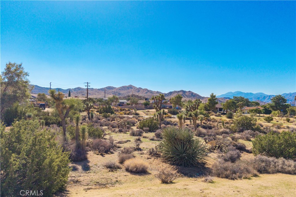 MLS #JT25230036 image #4