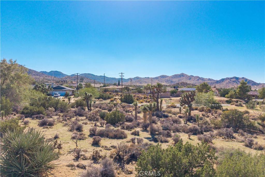 MLS #JT25230036 image #5