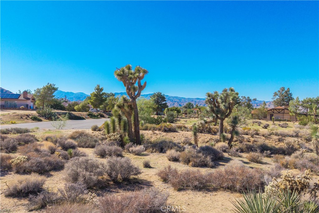 MLS #JT25230036 image #6