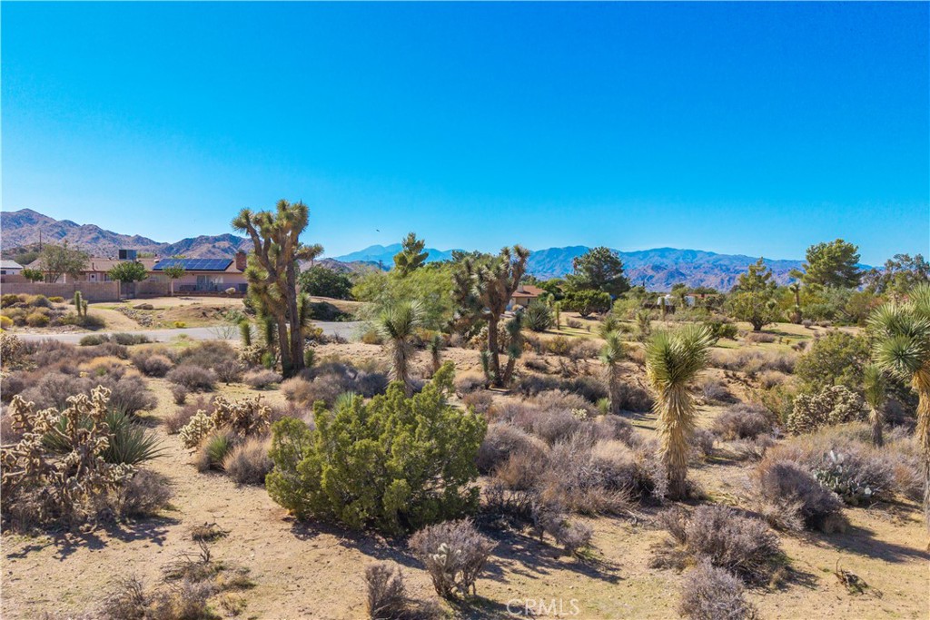 MLS #JT25230036 image #7