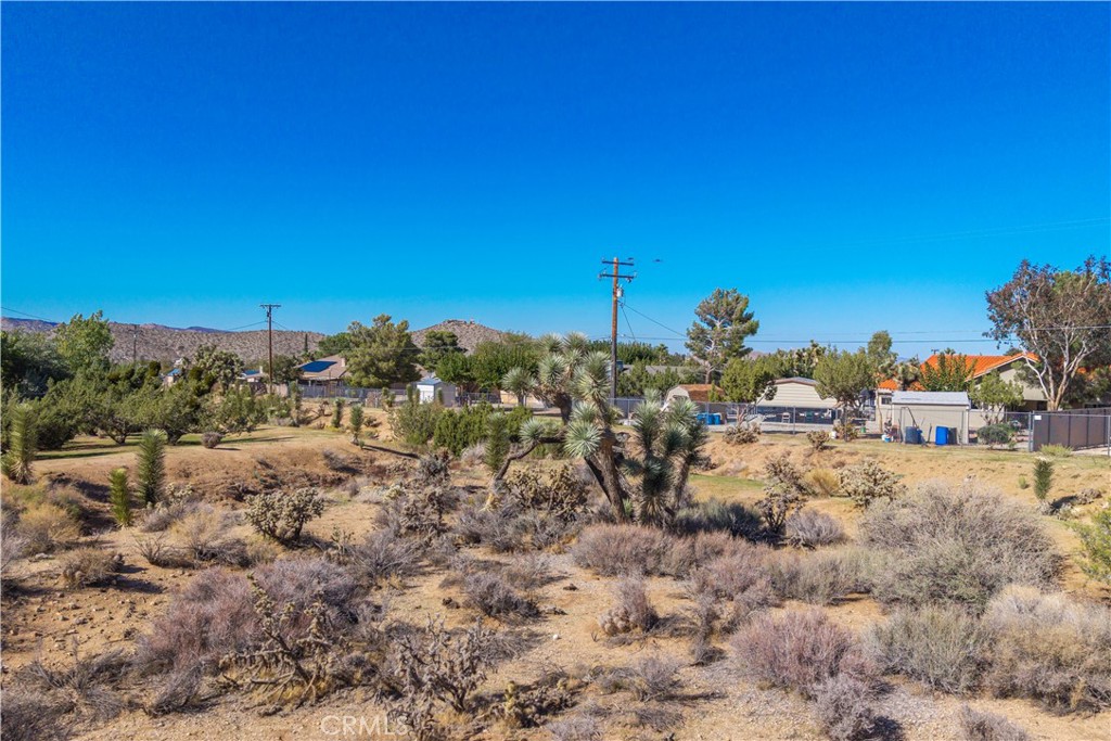 MLS #JT25230036 image #8