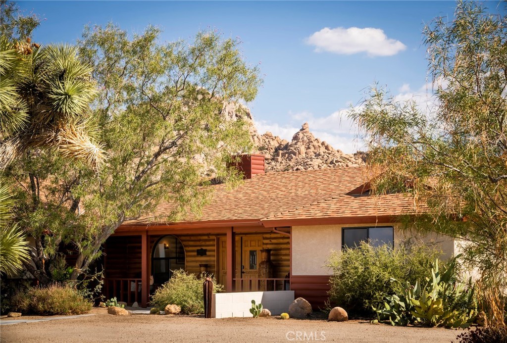 MLS #JT25230553 image #13