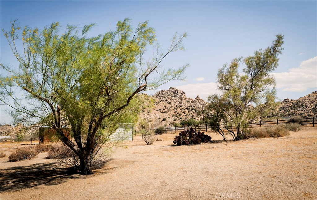 MLS #JT25230553 image #36