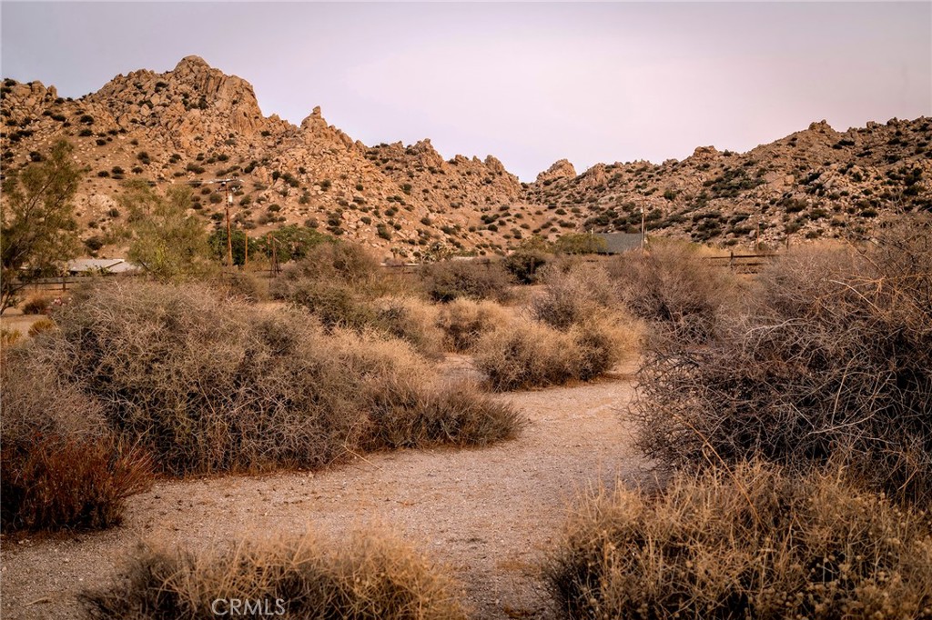 MLS #JT25230553 image #4