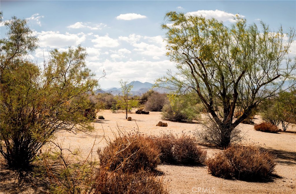 MLS #JT25230553 image #42