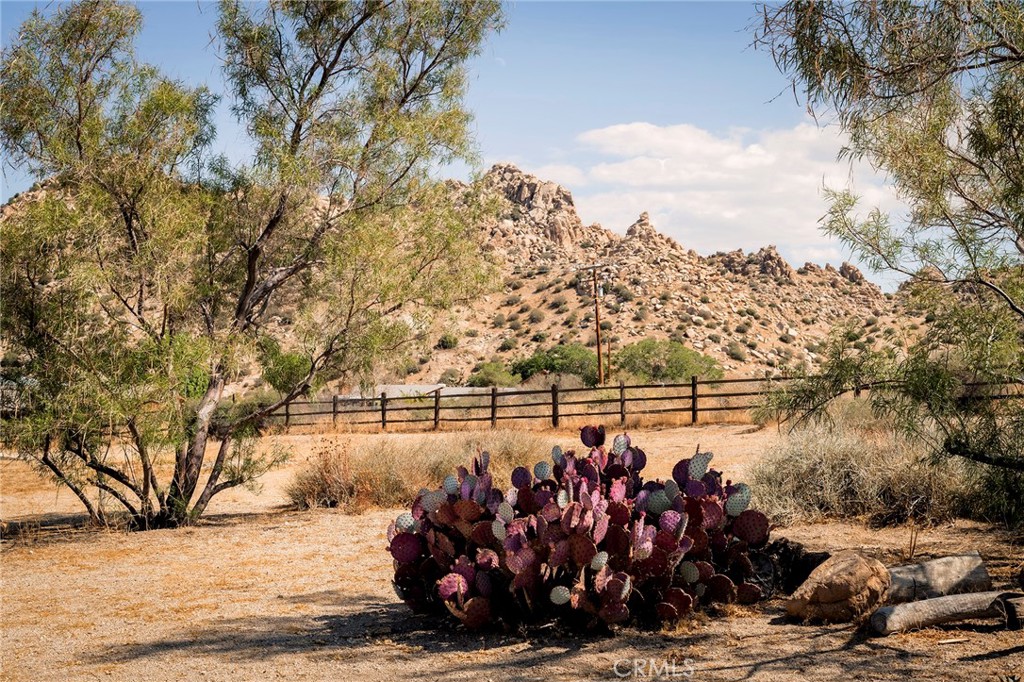 MLS #JT25230553 image #49