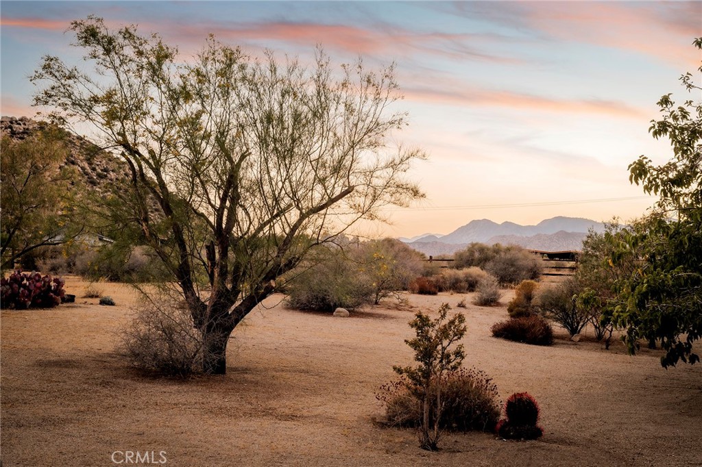 MLS #JT25230553 image #66