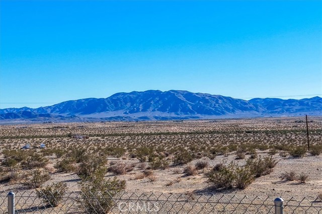 MLS #JT25230625 image #39