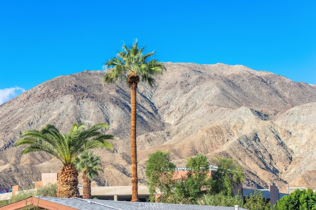 MLS #JT25231952 image #41