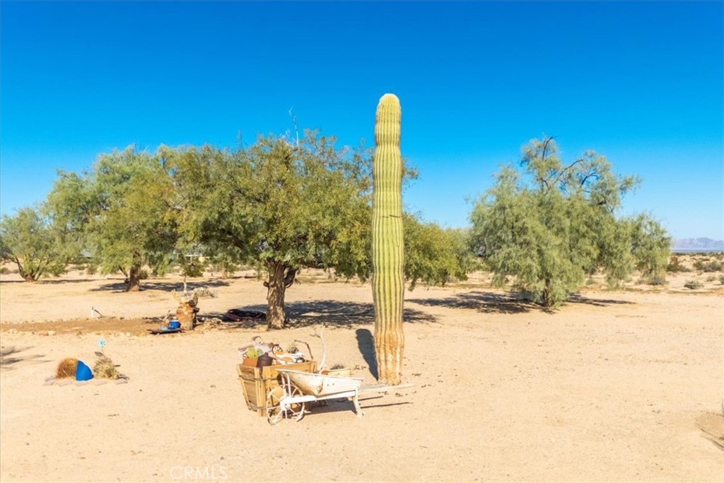 MLS #JT25233250 image #38