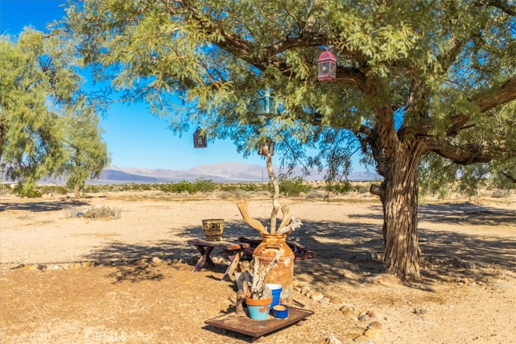 MLS #JT25233250 image #39