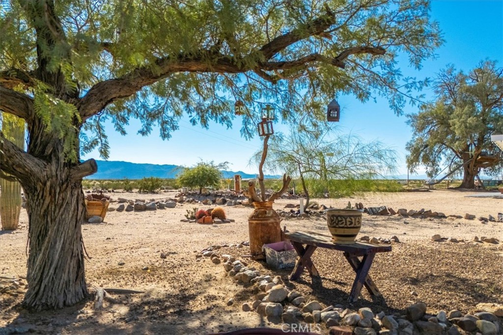 MLS #JT25233250 image #41