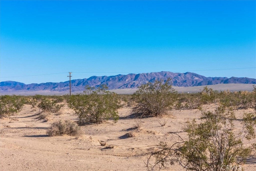 MLS #JT25233537 image #27