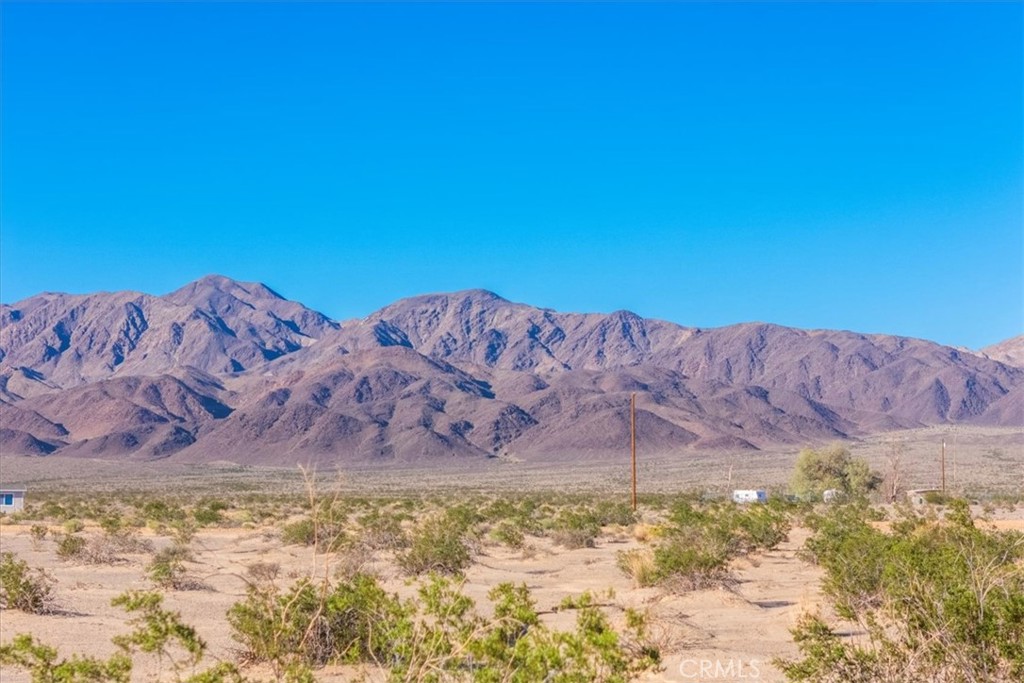 MLS #JT25233537 image #32