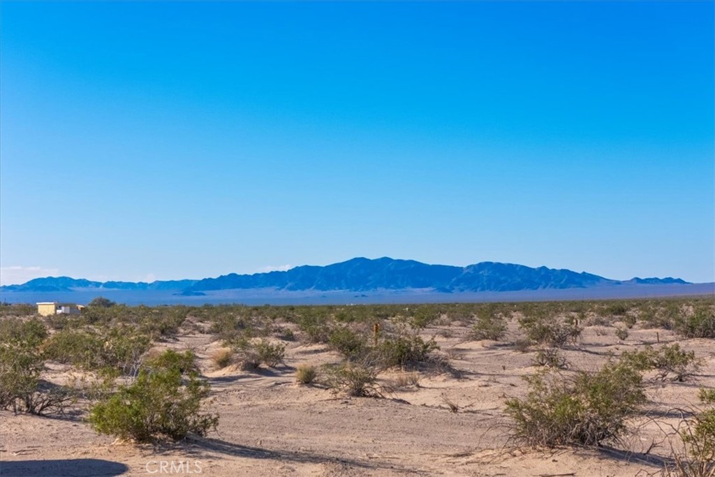 MLS #JT25233537 image #33