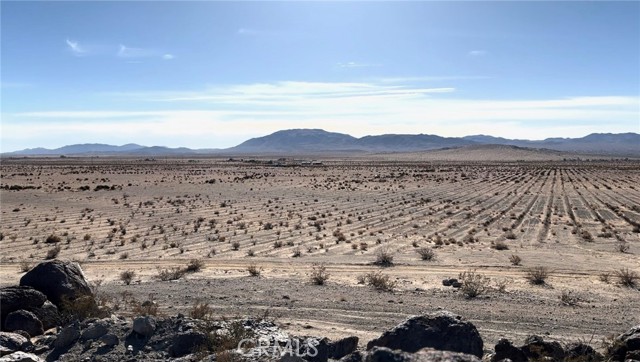 MLS #JT25235000 image #3