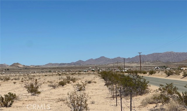 MLS #JT25235000 image #42