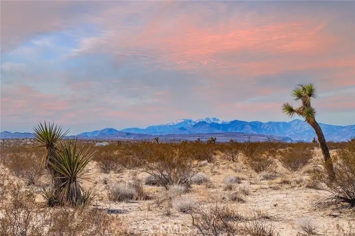 MLS #JT25235960 image #10