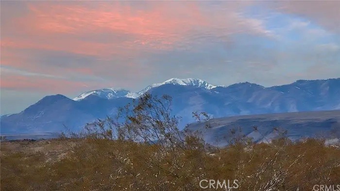 MLS #JT25235960 image #13