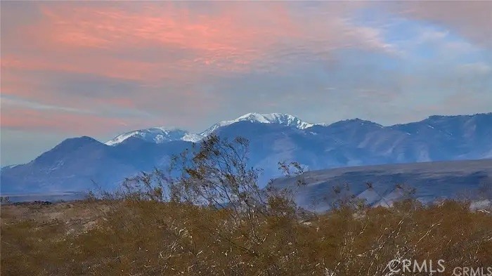 MLS #JT25235960 image #4