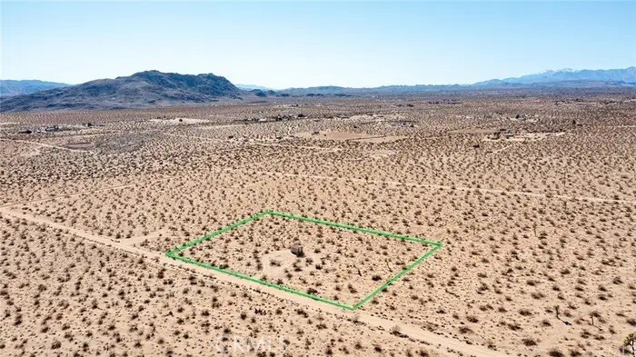 MLS #JT25235960 image #7