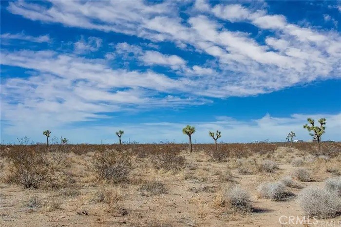 MLS #JT25235960 image #9