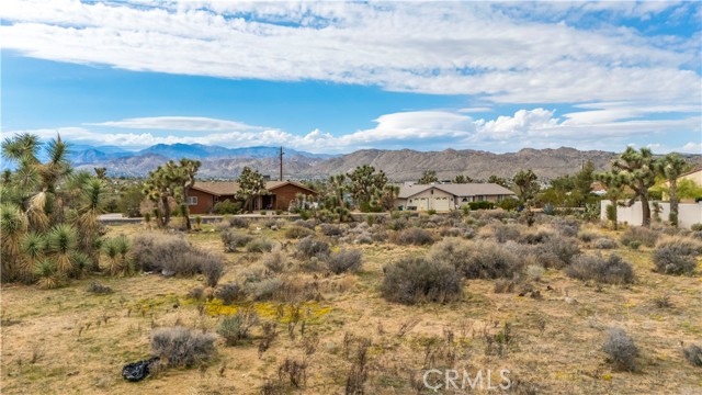 MLS #JT25237211 image #15