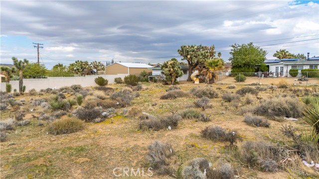 MLS #JT25237211 image #23