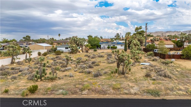 MLS #JT25237211 image #3