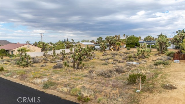 MLS #JT25237211 image #8