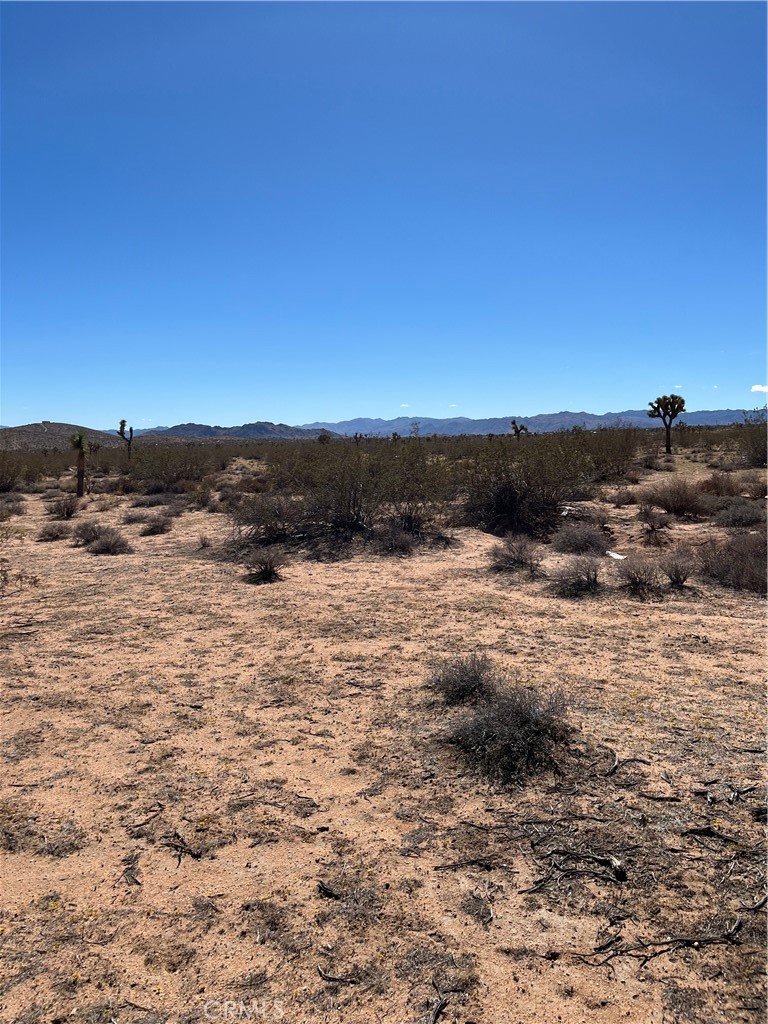 MLS #JT25240249 image #0