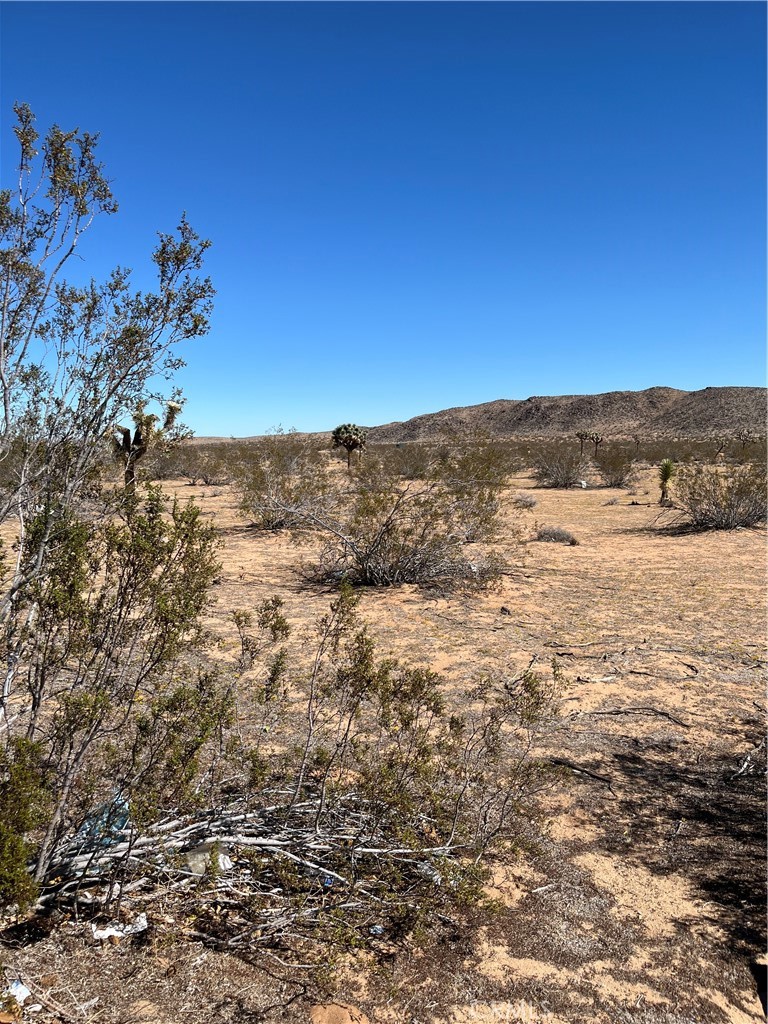 MLS #JT25240249 image #1