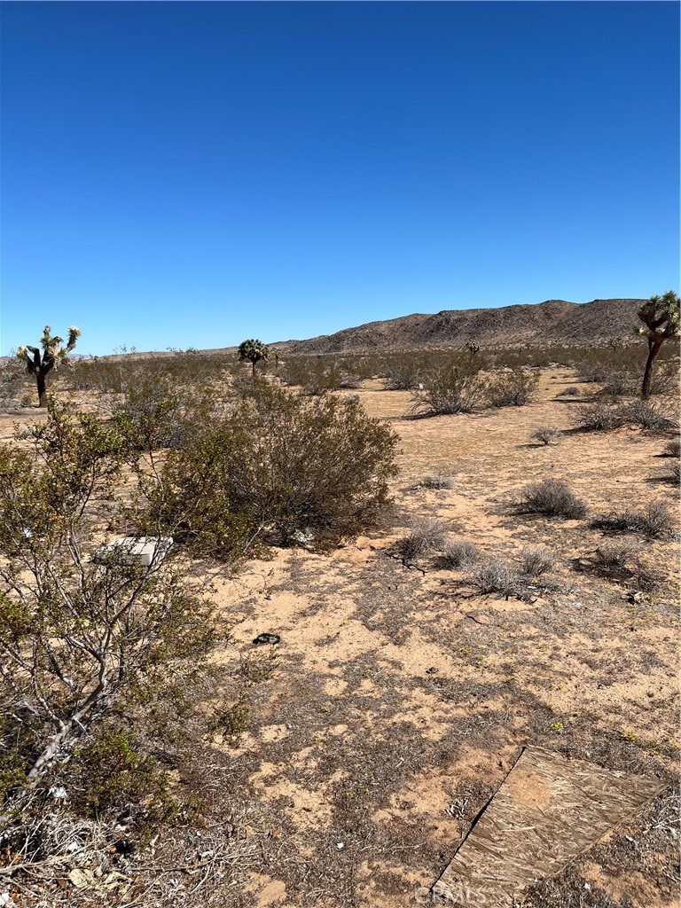 MLS #JT25240249 image #2