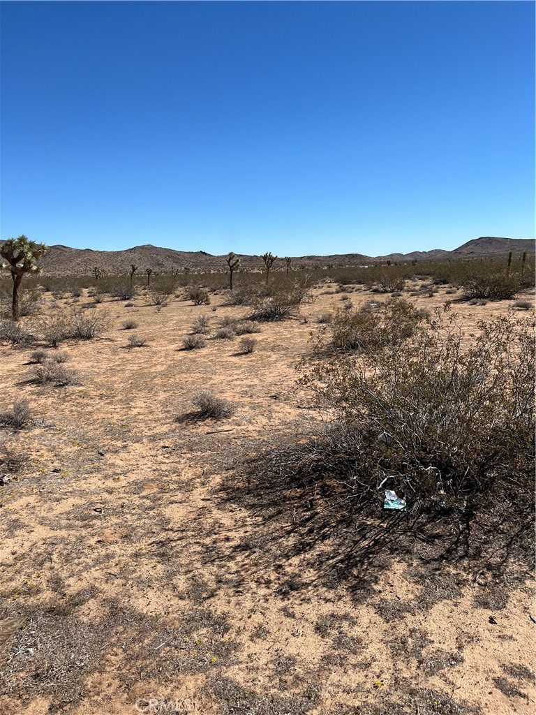 MLS #JT25240249 image #3